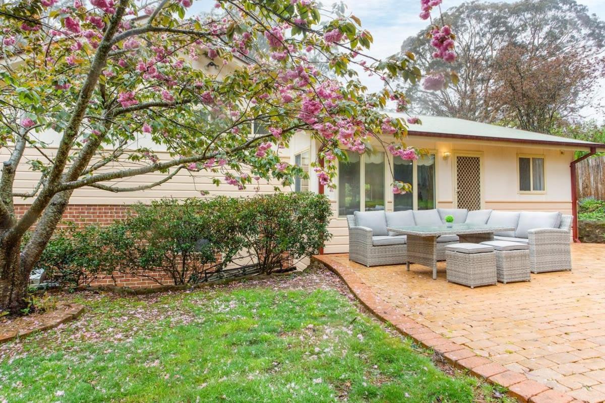 Stunning Katoomba Home With Lush Garden&Playground Eksteriør bilde